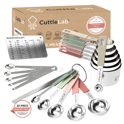 Country Chic 22-Piece Stainless Steel Measuring Cups & Spoons Set with Conversion Chart