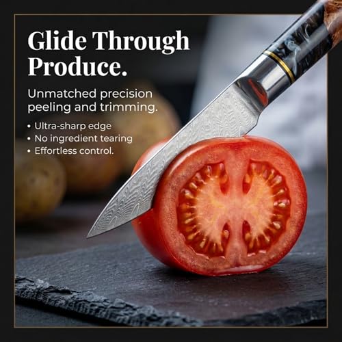 The Epicurean Cook Tidal Black 4-Inch Damascus Paring Knife