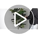 5ft Faux Fiddle Leaf Fig Tree with White Planter - Indoor & Outdoor Decor