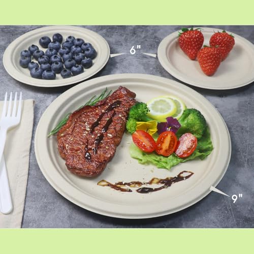 Heavy-Duty Compostable 6-Inch Dessert Plates - Biodegradable Bagasse & Bamboo, 500 Count