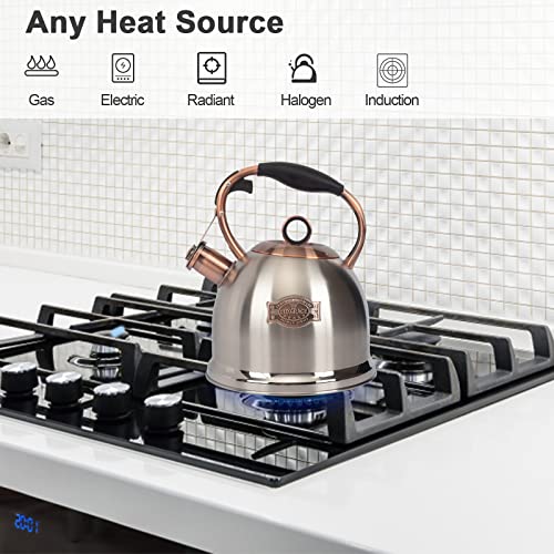 Silver Whistling Stovetop Tea Kettle 3.0 Qt Food Grade Stainless Steel - Fast Boil