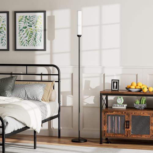 Black 65-Inch LED Floor Lamp with Remote Control & Foot Switch
