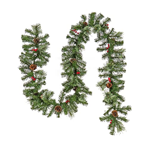 National Tree Company 9 ft Evergreen Cashmere Tips Garland with Pinecones & Red Berries