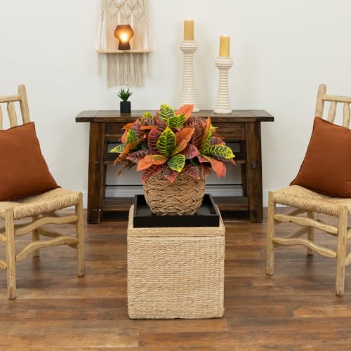 Artificial Croton Plants Set of 6 - Real Touch Faux Indoor Garden Decor