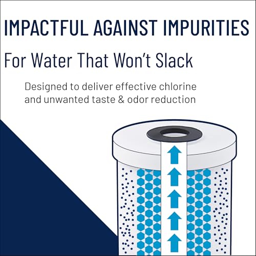 Pentair Pentek GAC-BB 10x4.5 inch Whole House Carbon Water Filter 2-Pack