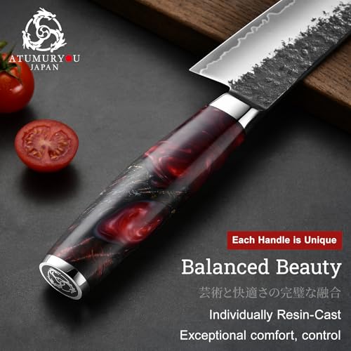 8.27 Inch Japanese Gyuto Chef Knife - Black Forged VG10 Steel, Hand-Sharpened