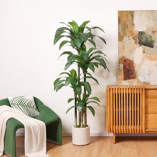 OAKRED 6ft Artificial Dracaena Tree with White Planter – Realistic Faux Indoor Plant for Home & Office Decor