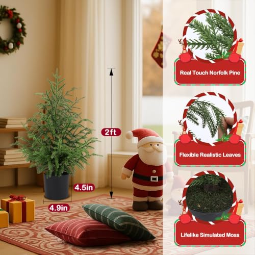 2FT ENVEN Norfolk Pine Christmas Tree - Prelit 30 LEDs, 8-Mode Battery Box, 1 Pack (2ft-1 Pack)