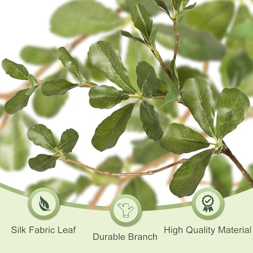 6ft Artificial Black Olive Tree with Natural Trunk - Realistic Foliage, Shaping Allowed