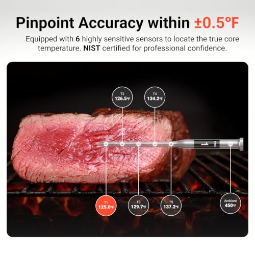 Wireless Meat Thermometer with 2 Probes - WiFi & Bluetooth for Grilling, Smoking & Cooking - Red
