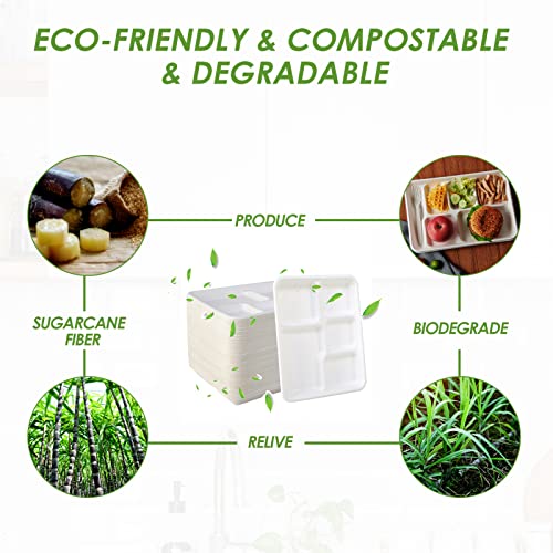 Vplus 500 Pack 5-Compartment Compostable Sugarcane Plates, 10.2x8.5 Inches — White, Eco-Friendly, Disposable Food Trays