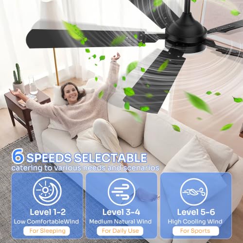 Crazypai Black 52-Inch Modern Ceiling Fan with Lights and Reversible Blades