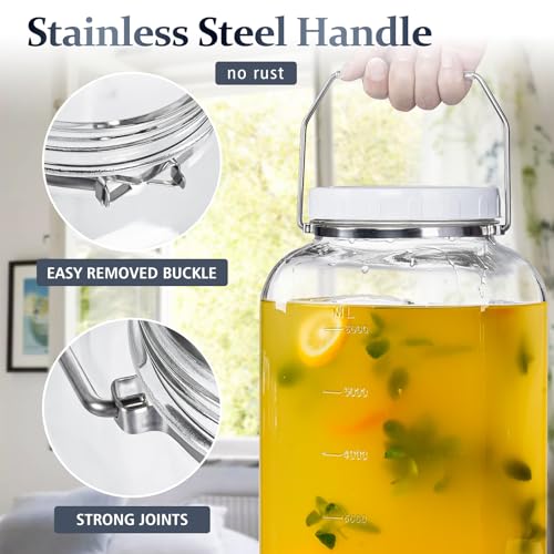 2 Gallon Airtight Glass Storage Jar with Removable Handle - Large Kitchen Canister