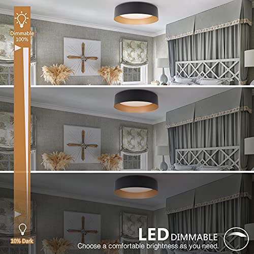 Bargeni Matte Black & Gold 12.5-Inch Flush Mount Ceiling Light - 1 Pack