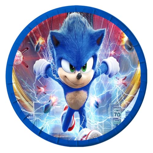 Birthday Party Decorations Kit for 10 Guests – Hedgehog Theme Supplies with Banner Balloons Plates & More