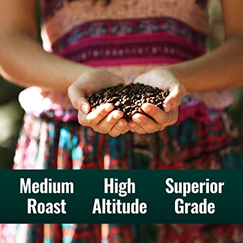 Natural Force Organic Mold-Free Medium Roast Ground Coffee 10 oz - Toxin-Free, Low Acid, High Antioxidant