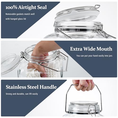 2 Gallon Glass Storage Jar with Airtight Lid & Stainless Steel Handle - Large Wide Mouth Container