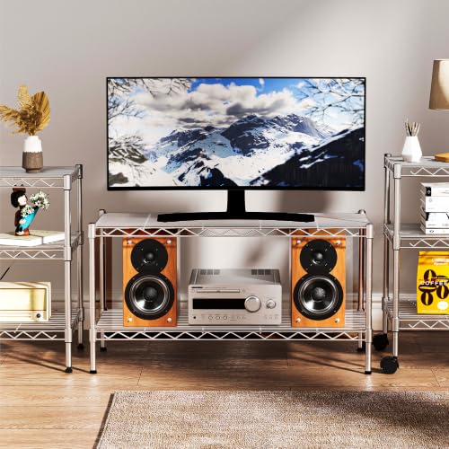 36x18x19.5 Inch Heavy Duty Metal Shelving Unit with Lockable Wheels - 2-Tier Wire Rack