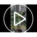 GYERB 2 Pack Artificial Boston Ferns Outdoor 48 Inch Fake Fern Plants with 88 Leaves - Realistic Faux Porch Garden Decor