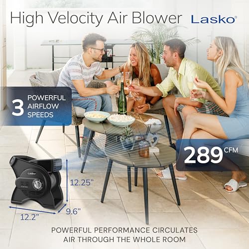 Lasko Classic 12" Pivoting High-Velocity Portable Fan - Black, U12104