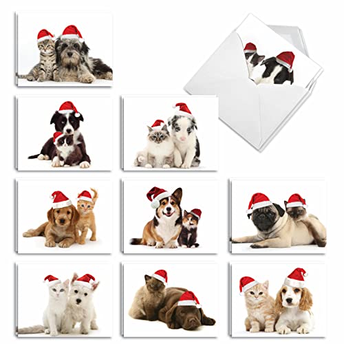 Best Card Co 20 Christmas Thank You Mini Bulk Notecards