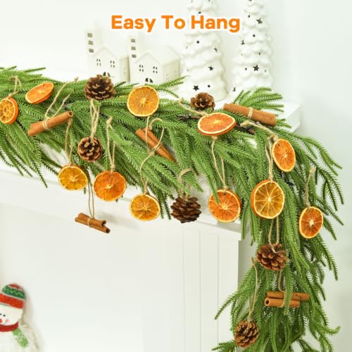Christmas Dried Orange Slices Pine Cones Cinnamon Sticks Craft Set - 50 Pack