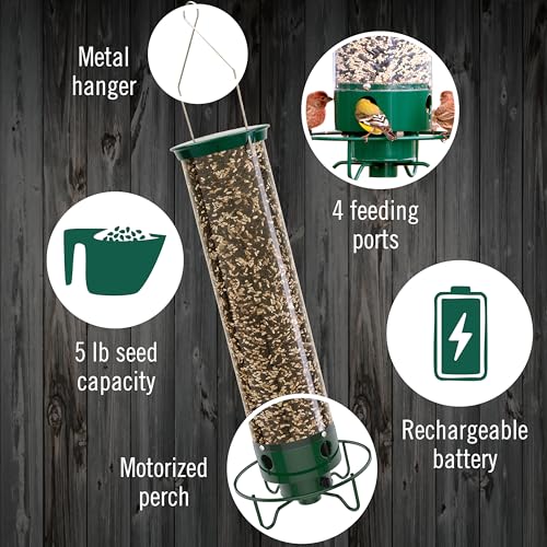 Squirrel Proof Bird Feeder 5lb Capacity - Weatherproof Outdoor Bird Feed Station