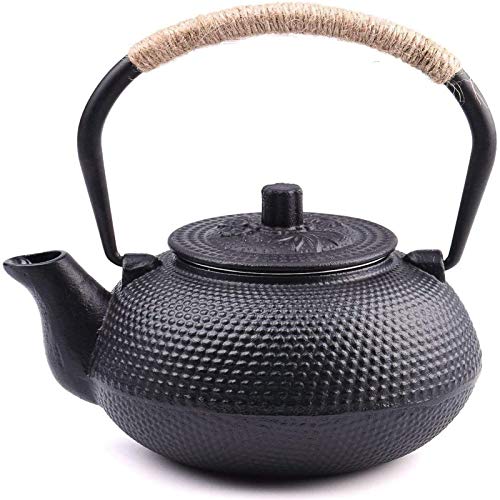 Cast Iron Tetsubin Teapot 22 oz / 650 ml with Enameled Interior & Stainless Steel Infuser - Japanese Style
