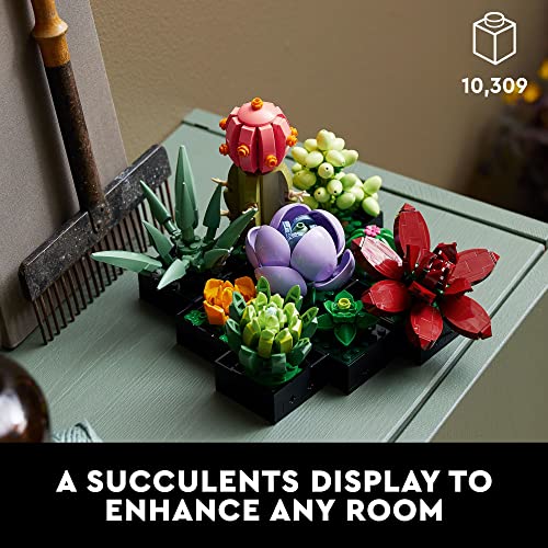 LEGO Succulents Building Kit for Adults - Realistic Indoor Plant Decor
