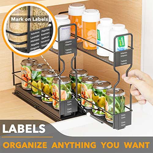 Pull Out Spice Rack Organizer for Cabinets - 2-Tier, Heavy Duty Slide Out with Labels, 5.2 W x 10.75 D x 10 H, Two 2-W Drawers
