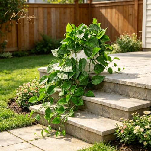 Muhanjia White Ceramic Pothos Artificial Plant with Drooping Vines, Indoor Fake Houseplant for Home & Office Decor