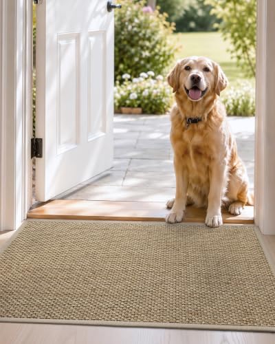 DEXI Beige Indoor Door Mat 24x36 - Ultra Thin Non Slip Entrance Rug