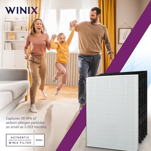 Winix Genuine Replacement Filter S (Model1712-0096-00) for C545 Air