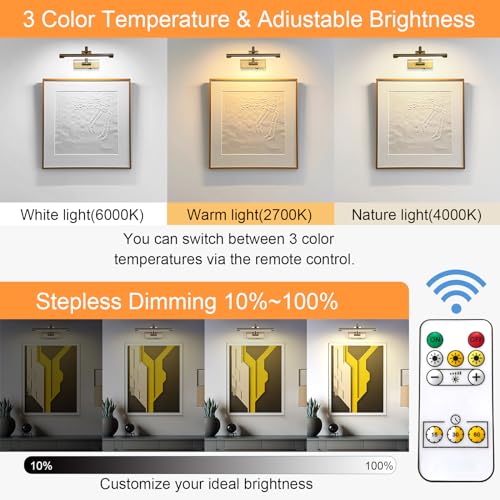 Brass Finish Rechargeable Picture Light with Remote Control, 12 Inch Adjustable Art Lighting
