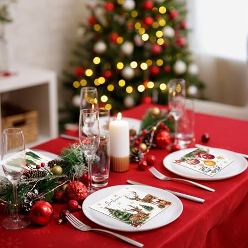 60 Pcs Classic Christmas Napkins - 4 Styles, 9.8 x 9.8 in, Janlaugh