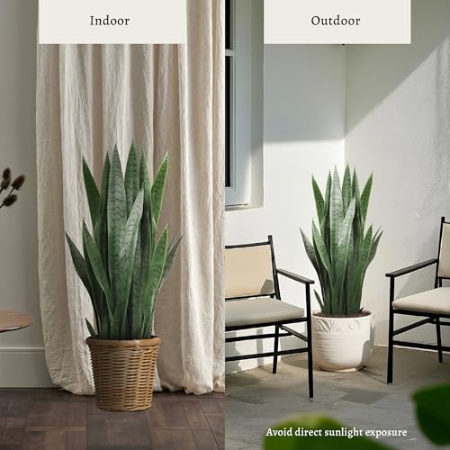KOL 3FT 2-Pack Artificial Snake Plants, Fake Sansevieria Indoor