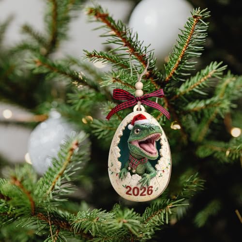 TEEBIM 04 Dinosaur Ornament 2026 – Dinosaur Christmas Ornament for Boys, Gift Box & Twine