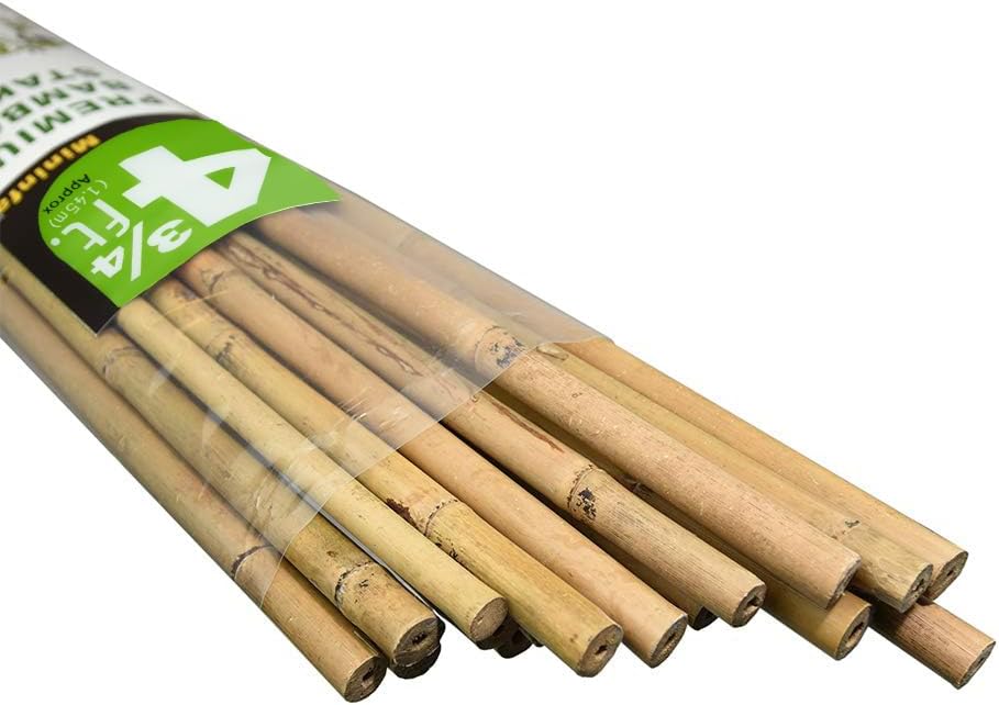 Mininfa Bamboo Garden Stakes - Eco-Friendly 57-Inch Plant Supports for Tomatoes, Trees & Beans | 20 Pack