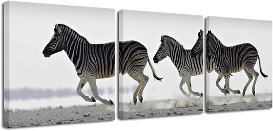Zebra Canvas Prints Wall Art - Black & White Animal Paintings for Living Room, Bedroom, Bathroom - 3 Piece Stretched Artwork