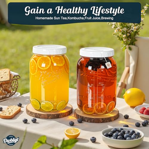 1 Gallon Wide Mouth Mason Jars with Airtight Silicone Gasket - 2 Pack