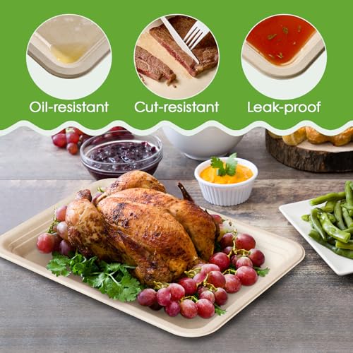 ECOLipak Nature-100pack Compostable 14-Inch Food Trays for Seafood & Large Meals