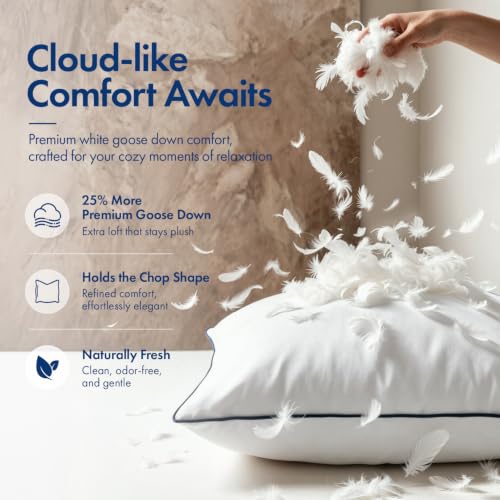 MIULEE 20x20 Inch Goose Feather Down Pillow Inserts Set of 2 - Soft Fluffy Decorative Cushions with Double Down-Proof Cover