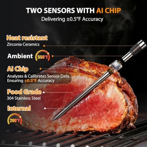 Wireless Meat Thermometer Digital 2-Probe Kit with App & Bluetooth