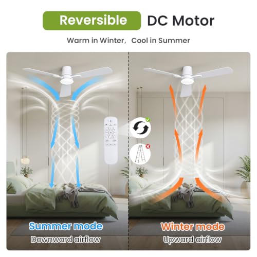 White 52-Inch Ceiling Fan with Lights & Remote - Easy Assembly, Reversible Blades