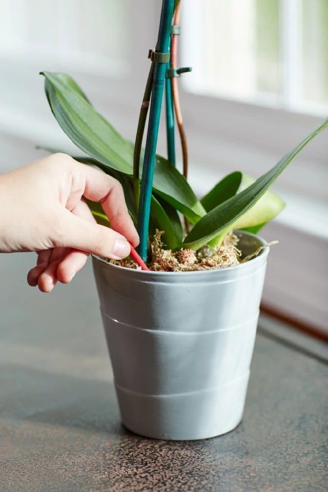Miracle-Gro Orchid Plant Food Spikes - 10 Fertilizer Sticks for Potted Orchids | Lasts Up to 2 Months