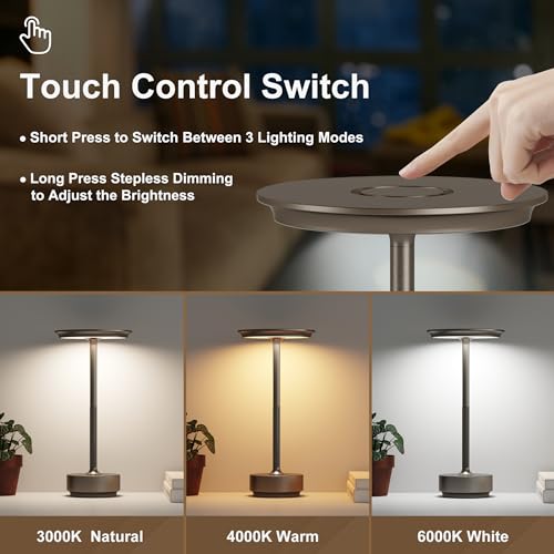 FDIDC 2 Pack Rechargeable Cordless LED Table Lamps with 5000mAh Battery, Stepless Dimmable, Cafe/Home/Office