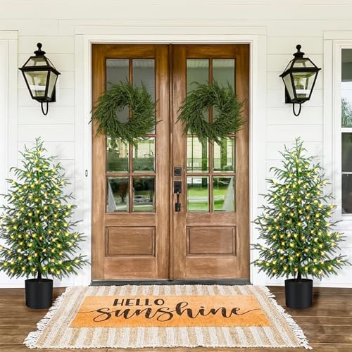 ENVEN 4FT Prelit Norfolk Pine Christmas Tree – Real-Touch Artificial Cedar with 80 LED Lights, 8-Function Plug-in, Potted Faux Tree (4ft-1 Pack)