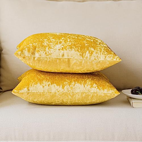 NiNi ALL Gold Velvet 22x22 Pillow Covers (Pack of 2) Decorative Cushions for Couch