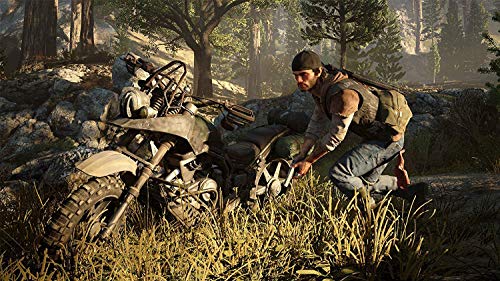 Days Gone PS4 Action Adventure Game with Open World Survival
