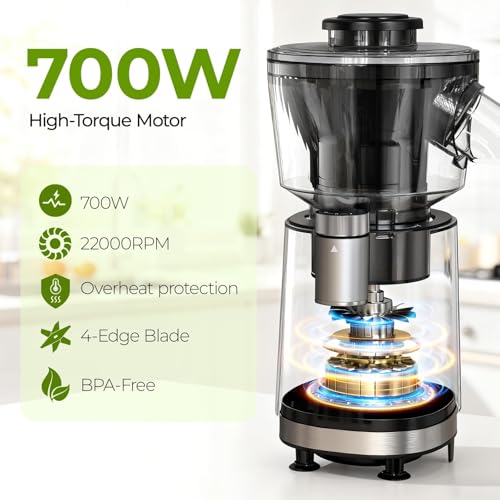 FEPPO Black 2-in-1 Snow Cone & Smoothie Maker 700W Ice Shaver Home Kitchen
